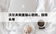 开云APP-关于沃尔夫斯堡雄心勃勃，拔得头筹的信息
