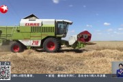 开云APP-意大利逆转保加利亚，小组领先位置巩固！的简单介绍
