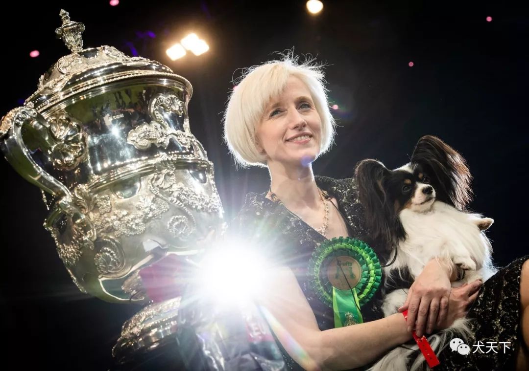 经过激烈角逐，最终傲视群雄