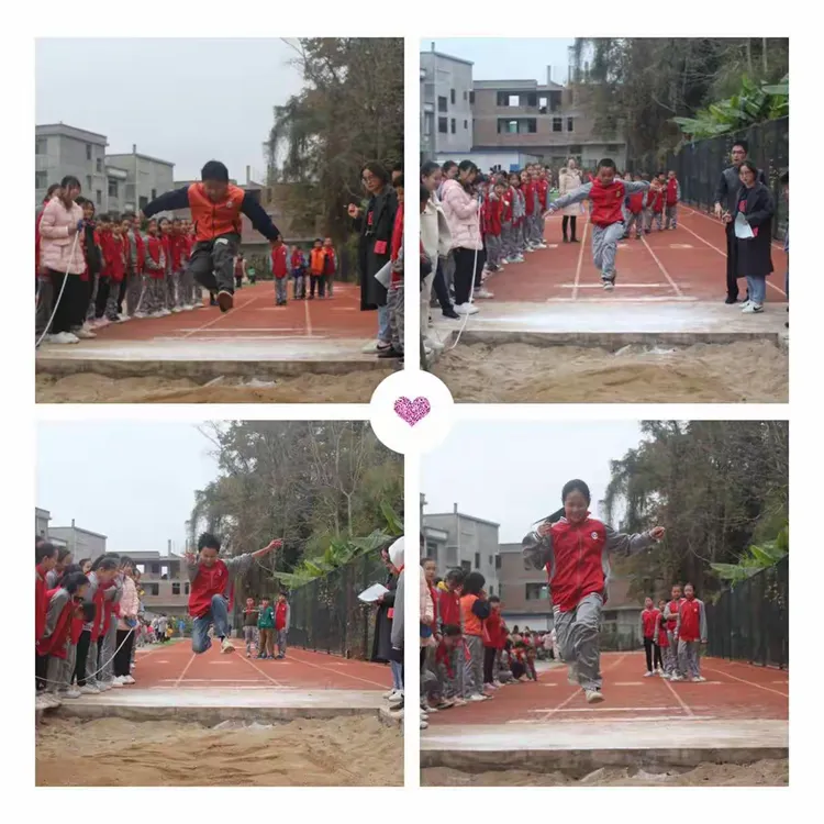 凯丹队主场力克劲旅，实现胜利拼搏