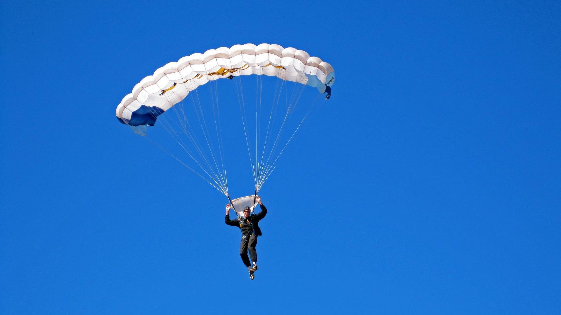 机械与魔法之间，站着一头野兽